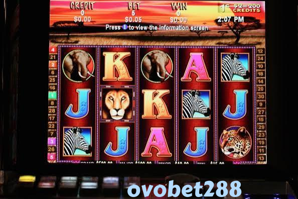 ovobet288 slide 1
